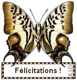 Gif animé félicitations papillons